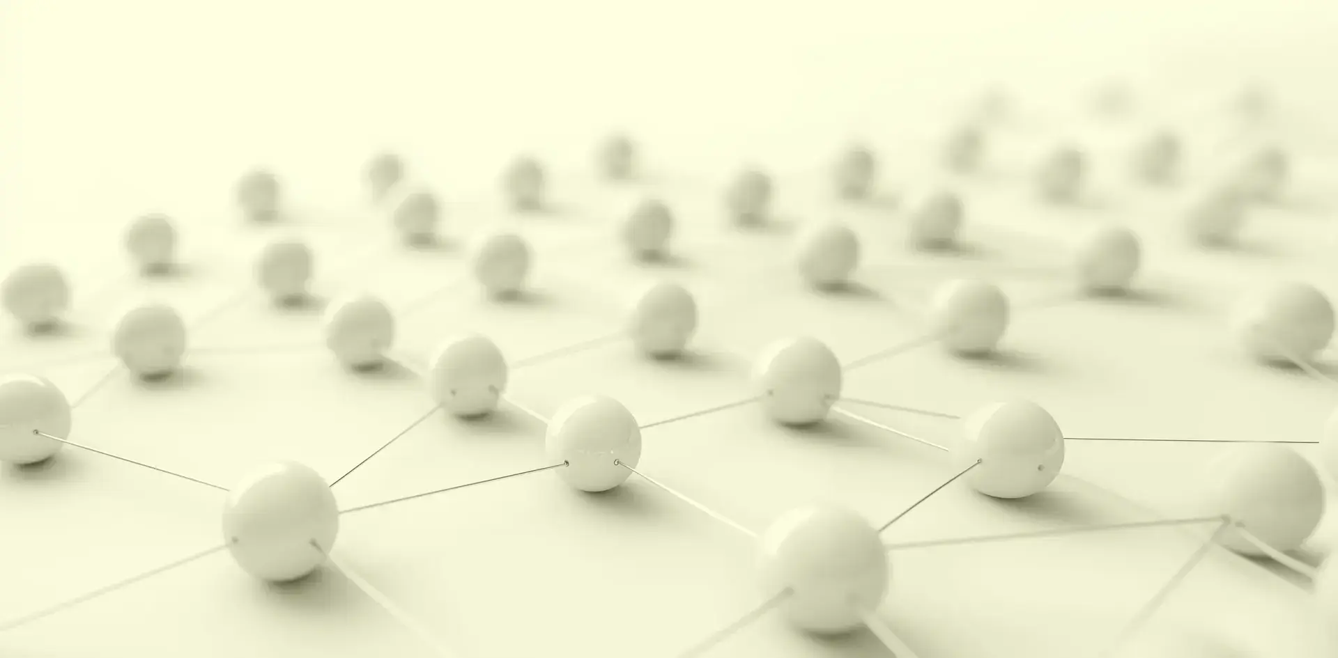 From Idea to Business: How Wiredin Worx Started